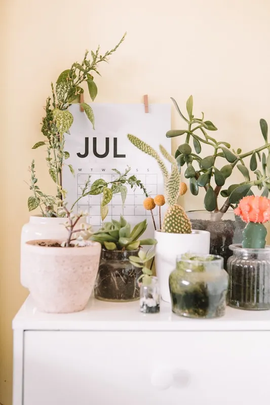 July