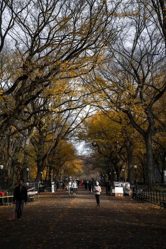 November